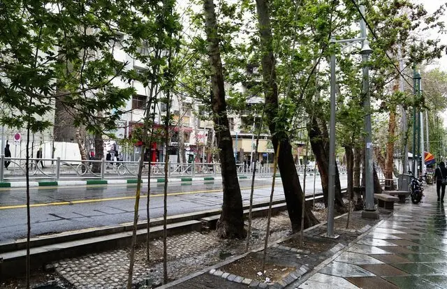 ماجرای آتش سوزی عمدی درختان در اصفهان