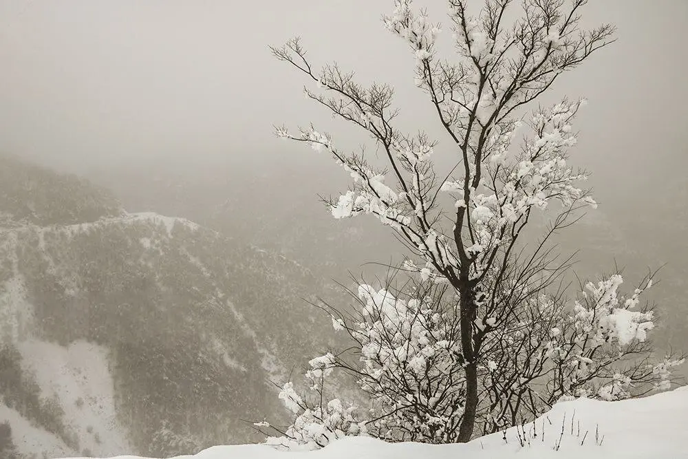 ماهواره‌های اروپایی: زمستان جهنمی و پرفشار از  این تاریخ در ایران وارد می شود
