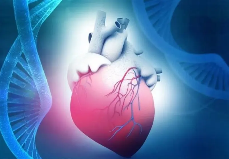 معجزه تخم مرغ برای حفظ سلامت قلب