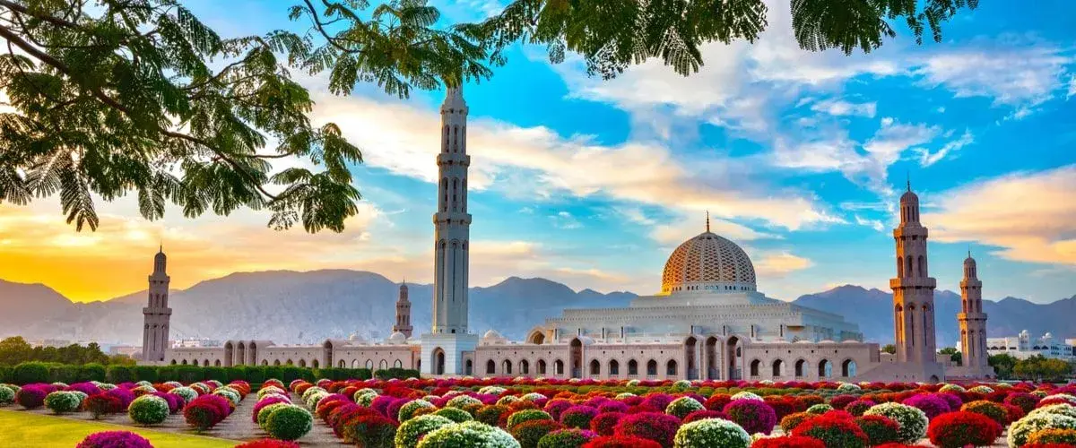 چه شهرهایی پرواز مستقیم به مسقط دارند؟
