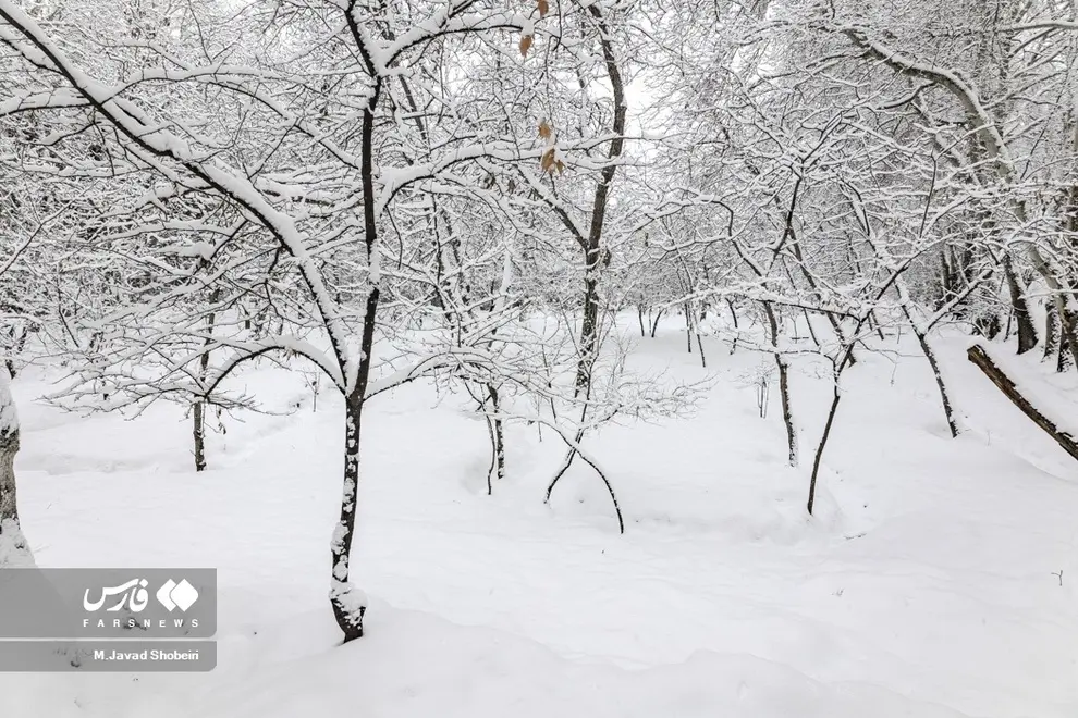 اسفند در ایران زمستان می‌شود ؛ آمریکایی ها پیش بینی کردند
