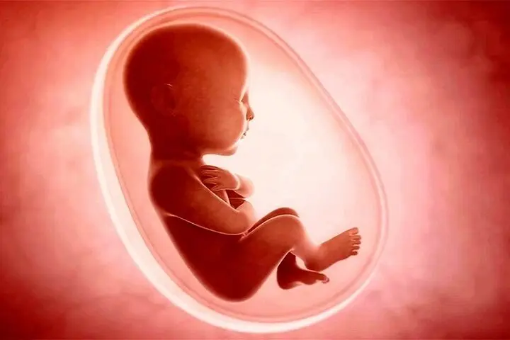 پرونده جنین‌های بیمارستان آبان به دادسرا رفت