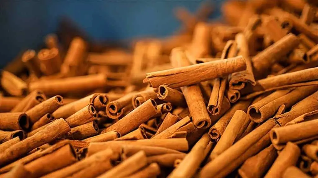 خوردن دارچین شما را از این بیماری ها دور می کند