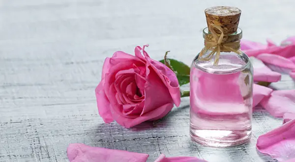 خبر مهم برای طرفداران طب سنتی| گلاب ضدعفونی نمی‌کند
