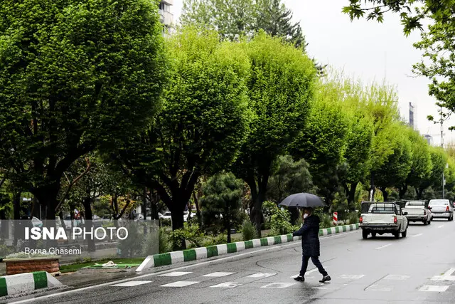هوای سرد و یخبندان شبانه در تهران