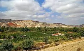 رشد ۹۲۰ درصدی قیمت زمین 

