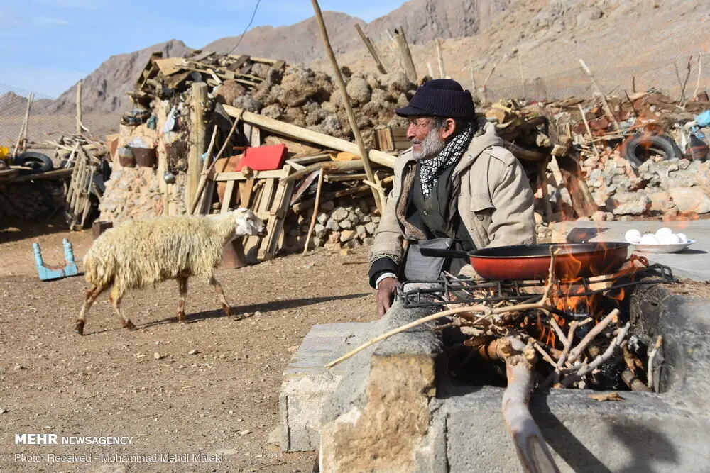 اعطا نشان درجه یک هنری به یک چوپان