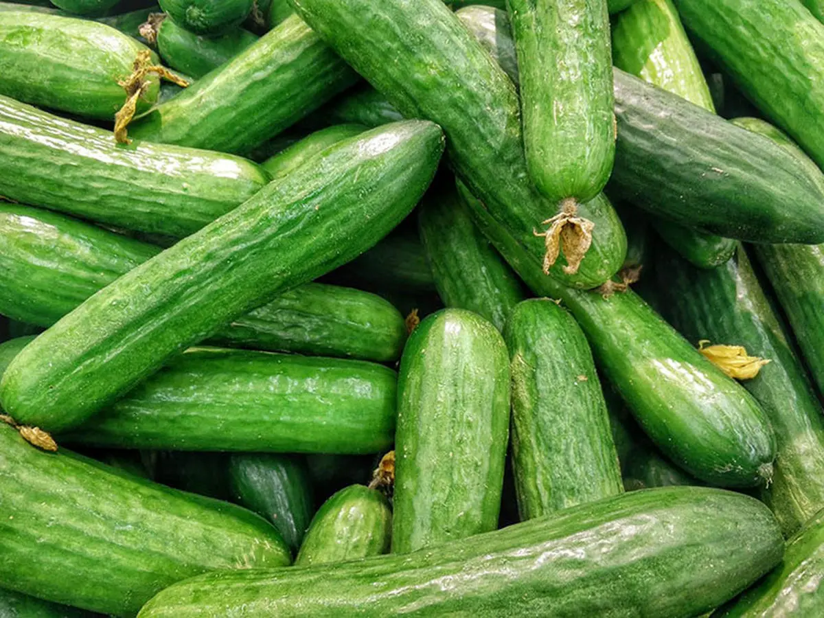 این میوه شما را جوان می‌کند