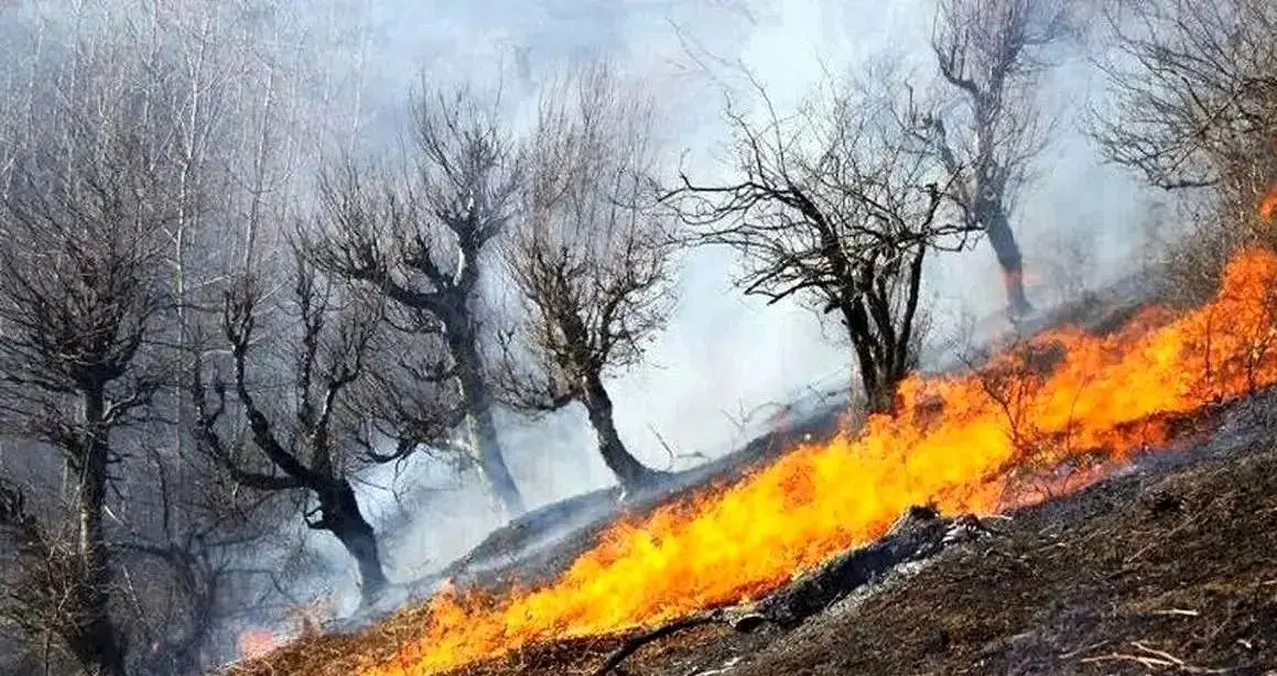 آتش به جان جنگل‌های شمال افتاد