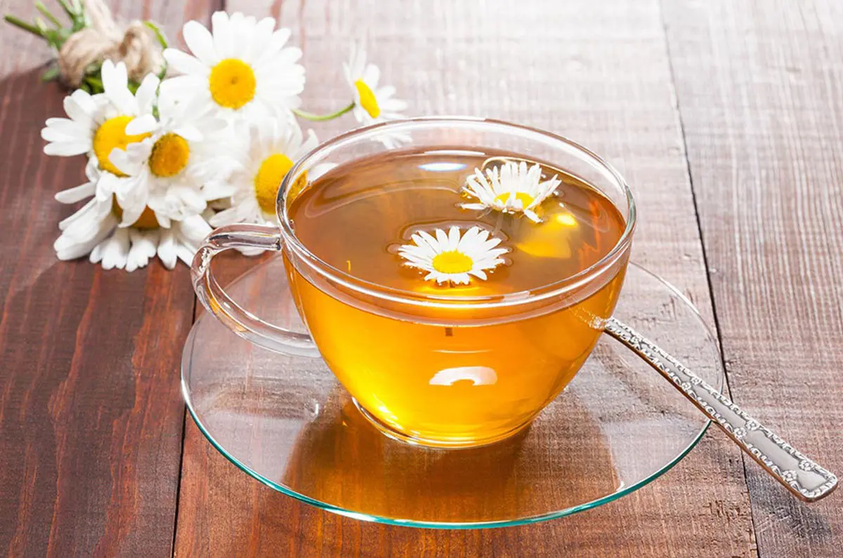 ۹ خاصیت بی نظیر چای بابونه؛ از تسکین اعصاب تا پیشگیری از سرطان