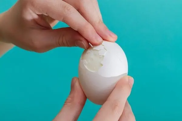 تاثیر مصرف روزانه غیرمنتظره‌ تخم مرغ بر بدن 
