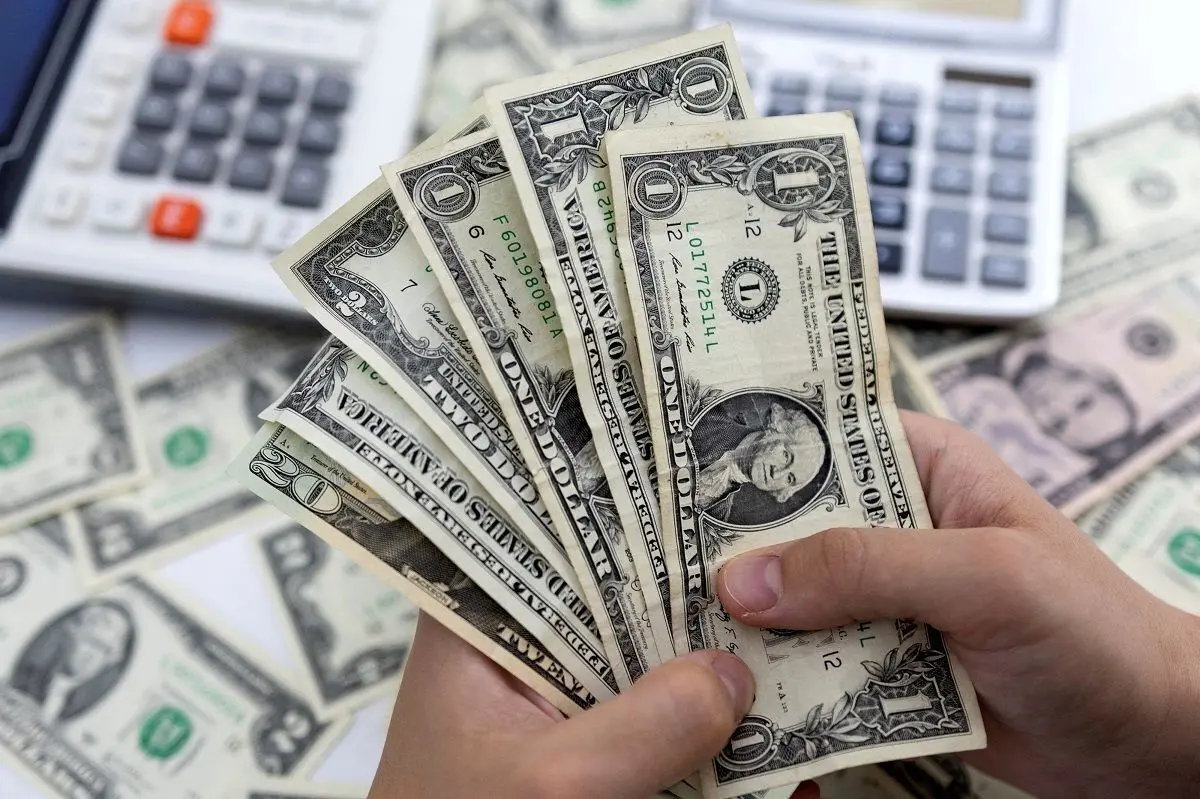 پیش‌بینی جالب یک فعال اقتصادی از سقوط قیمت دلار
