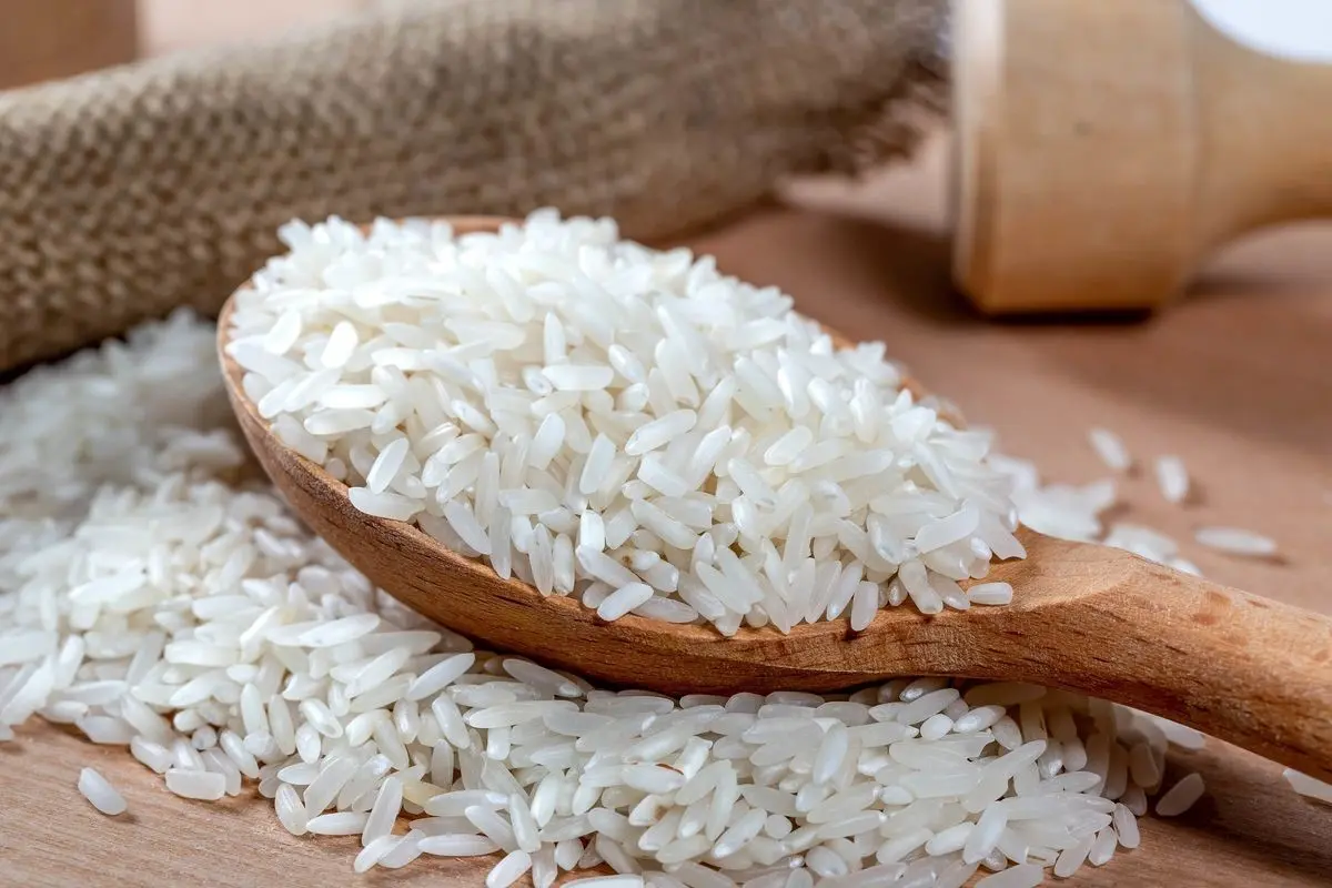 اگر زیاد برنج میخورید بخوانید

