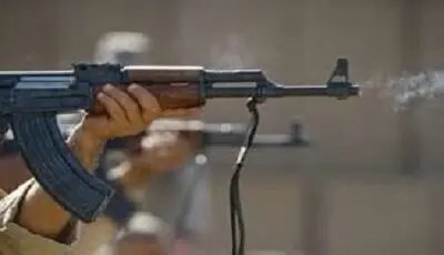 هلاکت و بازداشت ۱۲ تروریست در سیستانوبلوچستان