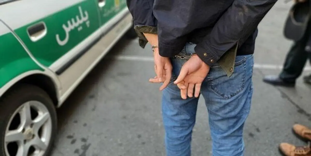 دستگیری عاملان 109 فقره سرقت در عملیات کارآکاهان پلیس