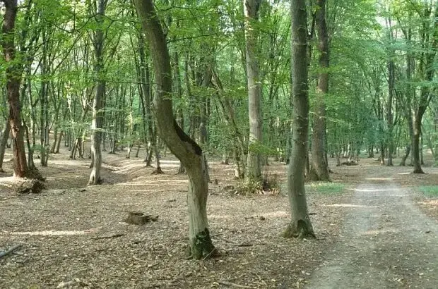 جاذبه زمین در این نقاط عمل نمیکند