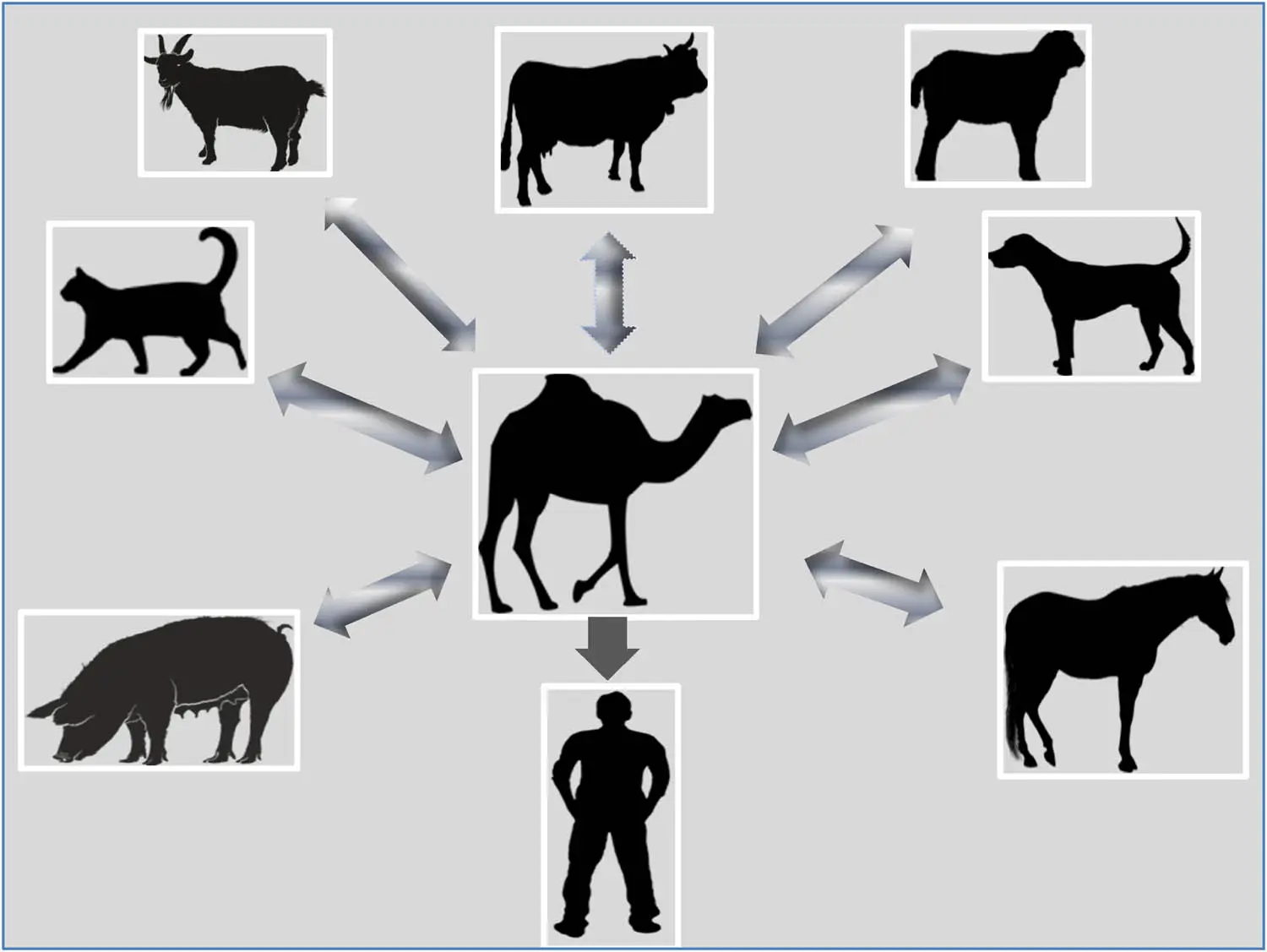 خطر هولناک در کمین ساکنان کرج و البرز | طاعون آمد