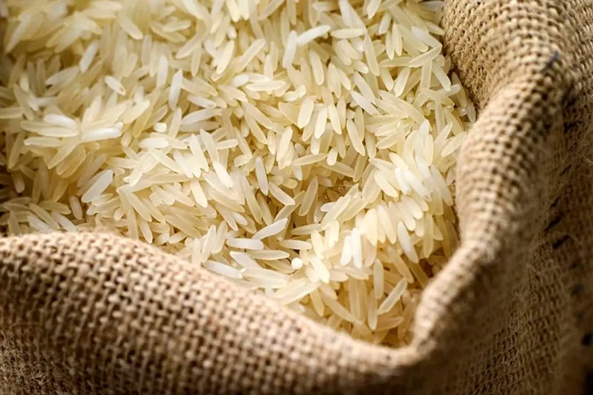 فروش برنج پاکستانی به جای برنج ایرانی با نرخ ۳ برابری!