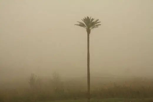 خطرناک‌ترین شهر ایران مشخص شد