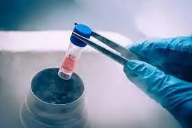 افزایش درخواست  فریز تخمک دختران برای بعد از ازدواج  