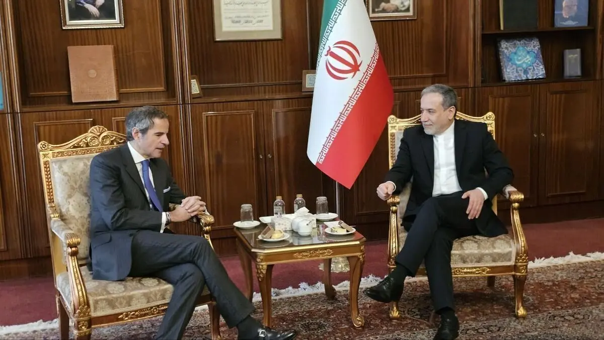 عکس معنادار گروسی در تهران خبرساز شد + عکس

