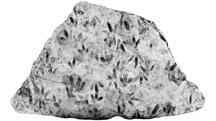 تخت سنگ دکوری در یک مدرسه یک گنج گران قیمت از آب درآمد + عکس