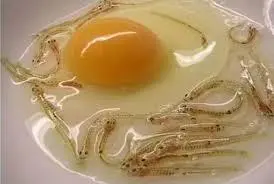 ژاپنی‌ها ربات هم خوردند!