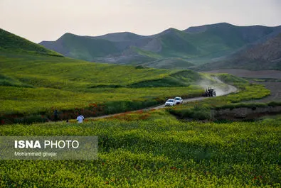 مسیر «خالد نبی»