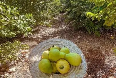 تصویر متفاوت از فلسطین با این دو زن