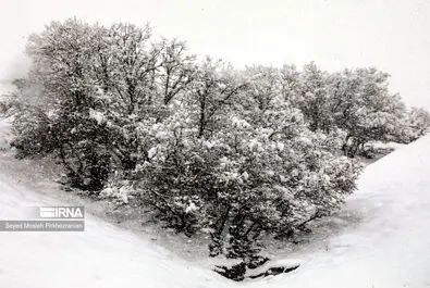بارش برف کردستان