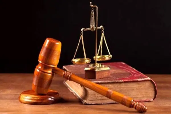 حکم بازداشت «امین فردین» صادر شد+عکس