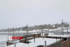 ببینید: بارش کم سابقه برف در زاهدان