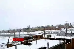 ببینید: بارش کم سابقه برف در زاهدان