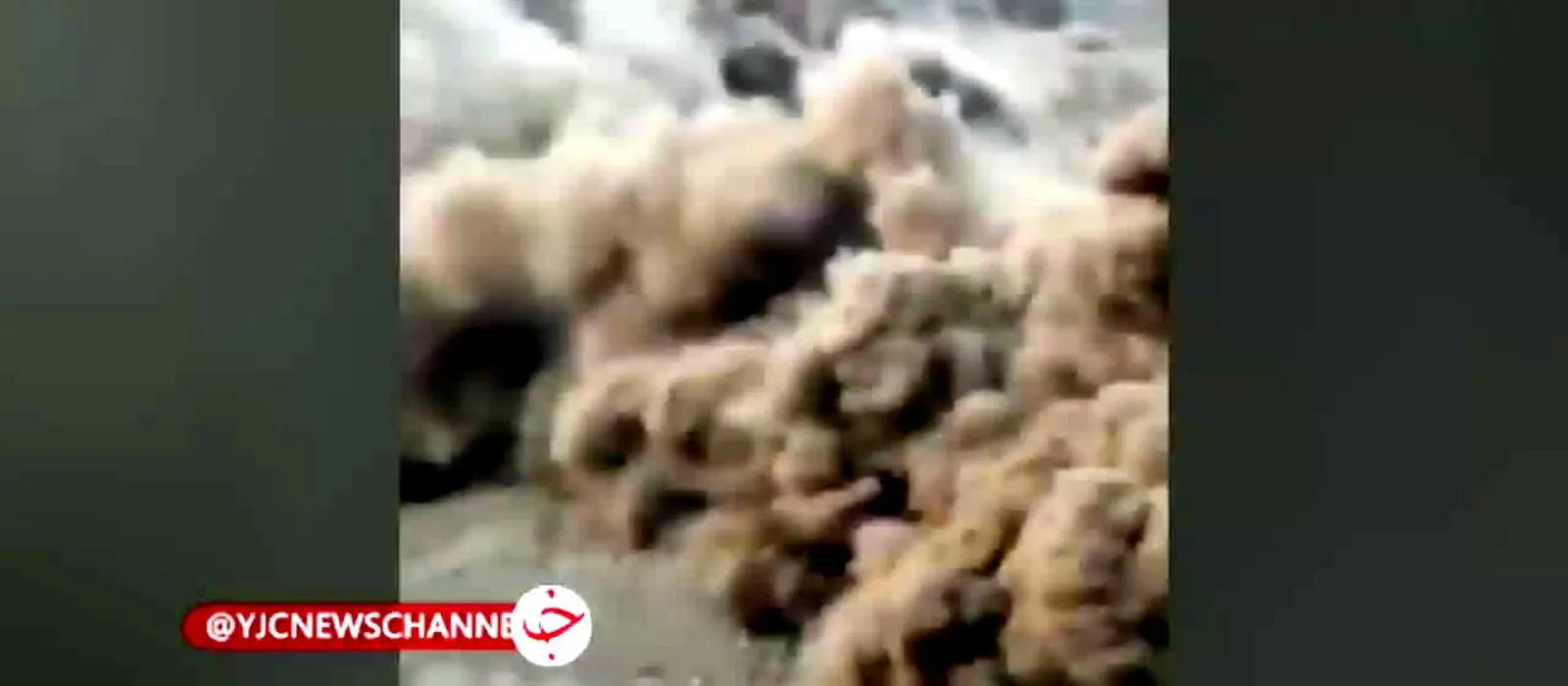 ببینید | تصاویر آخرالزمانی از حادثه هولناک در جاده هراز