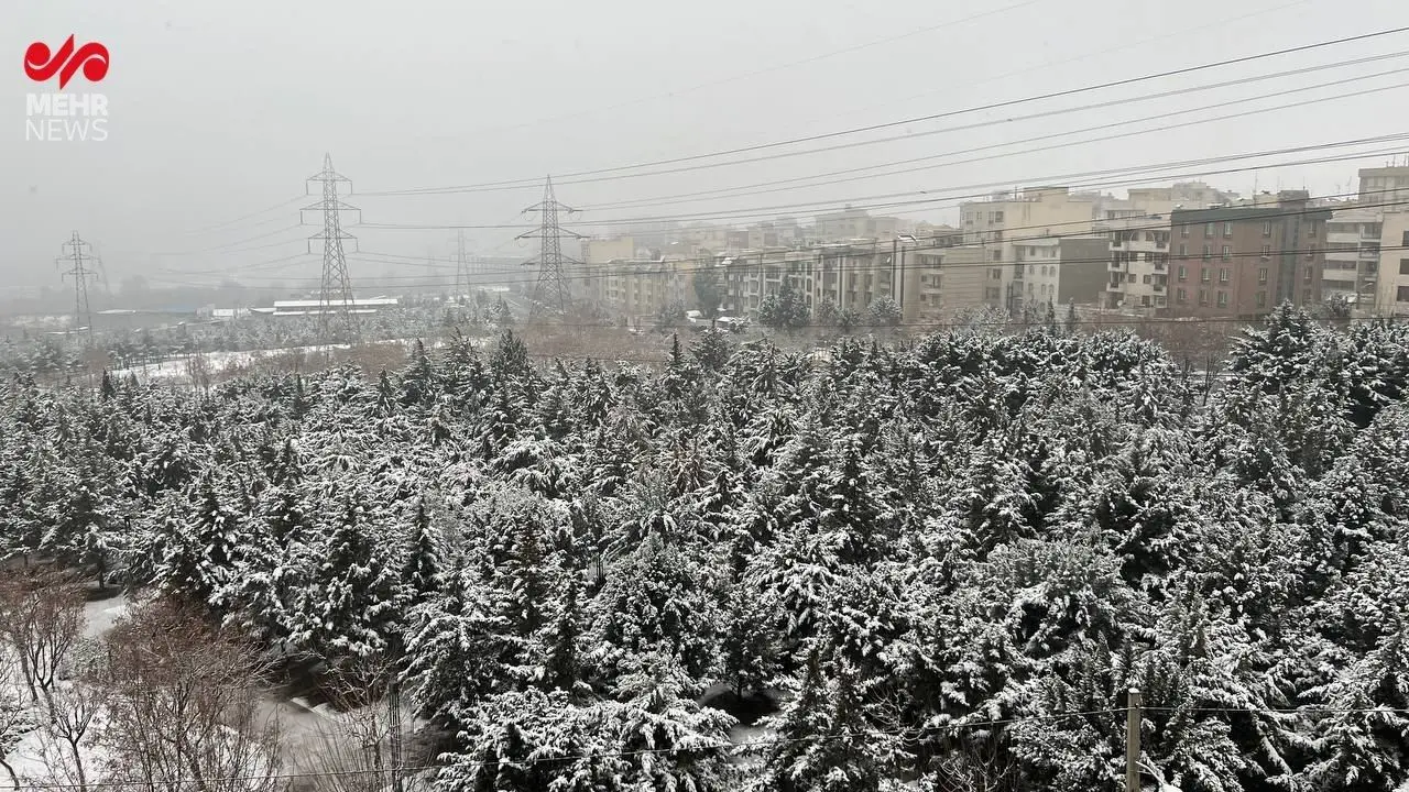 بارش شدید برف در بام تهران +فیلم