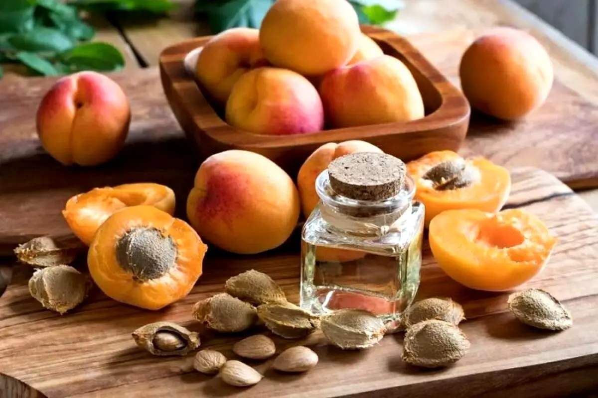 هشدار؛ خوردن هسته این ۵ میوه باعث مرگ می‌شود!
