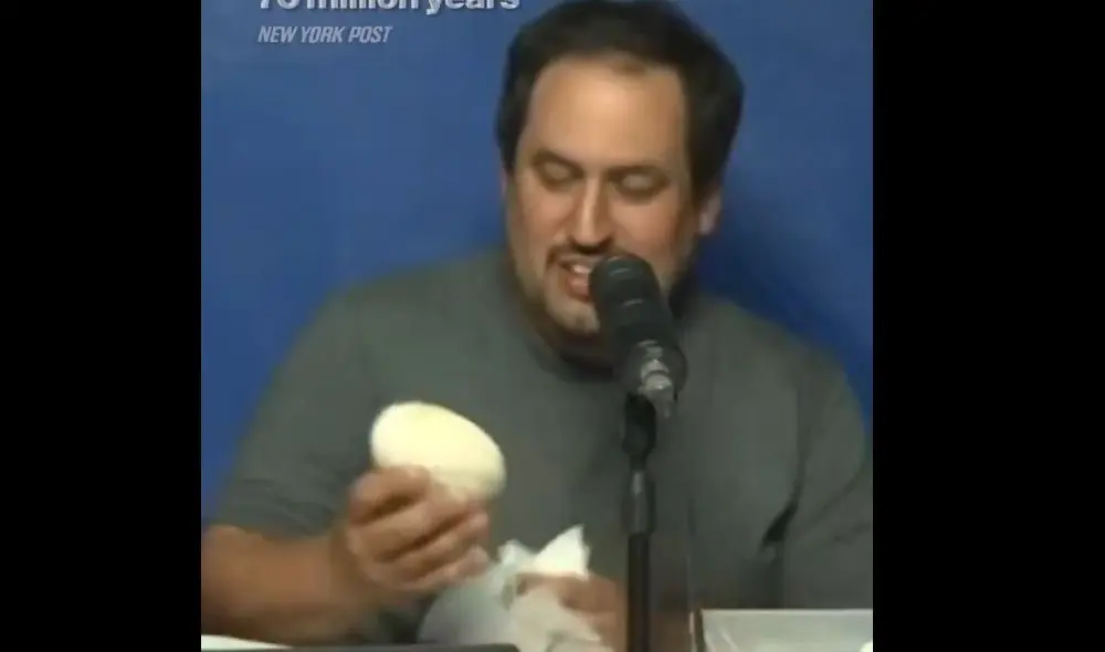 کشف تخم دایناسور ۷۰ میلیون ساله! +فیلم