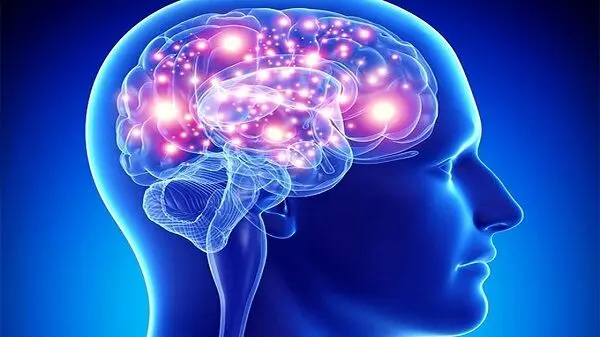 تایید شد؛ ایلان ماسک روی مغز تراشه می‌گذارد