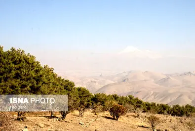 تصاویری دیدنی از منطقه حفاظت شده خجیر و سرخه حصار