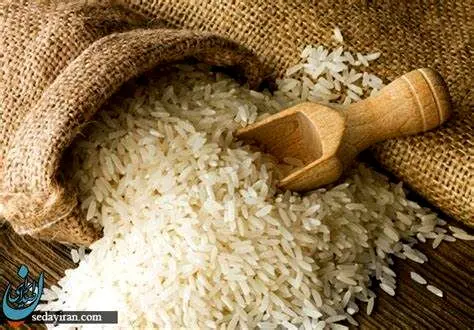 واردات برنج هندی به ایران ممنوع شد 