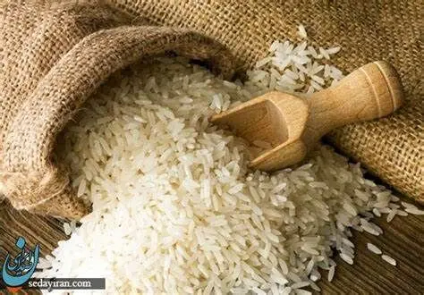 واردات برنج هندی به ایران ممنوع شد 