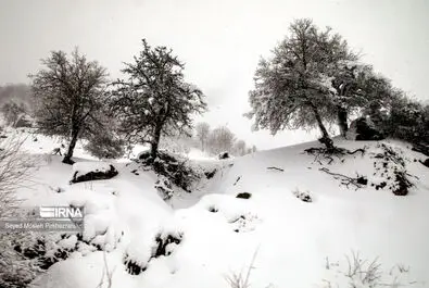 بارش برف کردستان