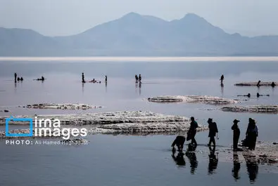 شنا کردن مردم در دریاچه بی‌جان ارومیه + عکس