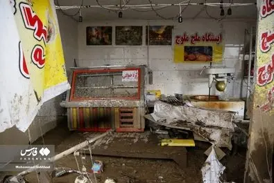 سیل در کن