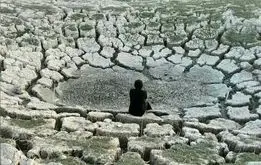 «سراب نیلوفر» کاملا خشک شد