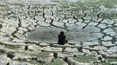 «سراب نیلوفر» کاملا خشک شد