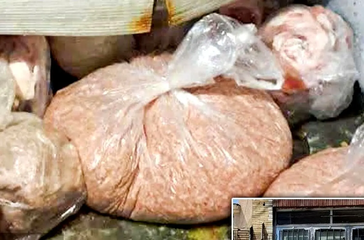 کشف صد‌ها کیلو گوشت خر در مشهد!