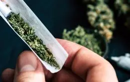 گل‌های داخل ایران ۱۰ برابر خطرناک‌تر از سایر کشورهاست