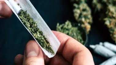 گل‌های داخل ایران ۱۰ برابر خطرناک‌تر از سایر کشورهاست