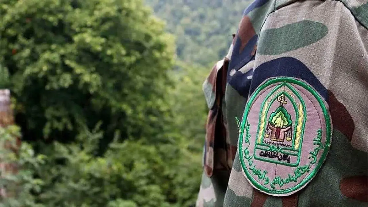 دستگیری ۴ ضارب جنگلبان نور